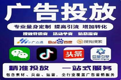 某电商平台的SEM广告投放策略及效果评估